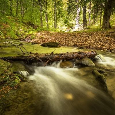 爱体育APP手机app下载